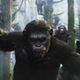 Illustration for article titled Theres More To Primate Dominance Than Strength And Aggression